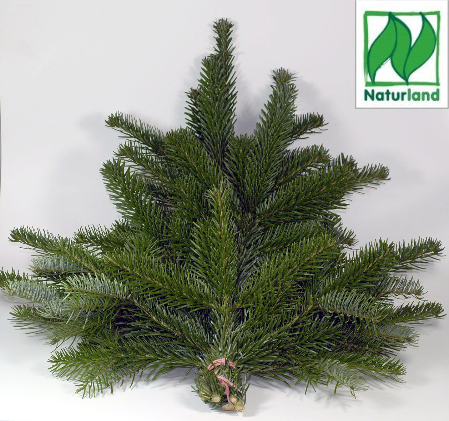 Handbund "Nordmann" 2,5 kg